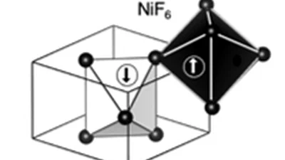 Degeneracy removal of spin bands in antiferromagnets with non-interconvertible spin motif pair featured image